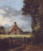 A cottage in a cornfield